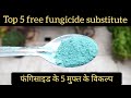 फंगिसाइड के पांच बेहतरीन मुफ्त के विकल्प, Top 5+1 free fungicide substitute in gardening