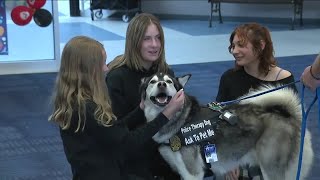 Castle Rock, Douglas County introduce new therapy dog
