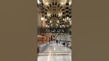 القرآن الكريم.... آيات من الذكر الحكيم