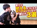 愛犬が吠えやすくなってしまうやってはいけない接し方3選