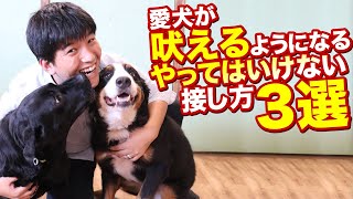 愛犬が吠えやすくなってしまうやってはいけない接し方3選