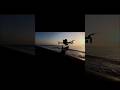 Light Chasing: Day 18 — Reading the Ocean