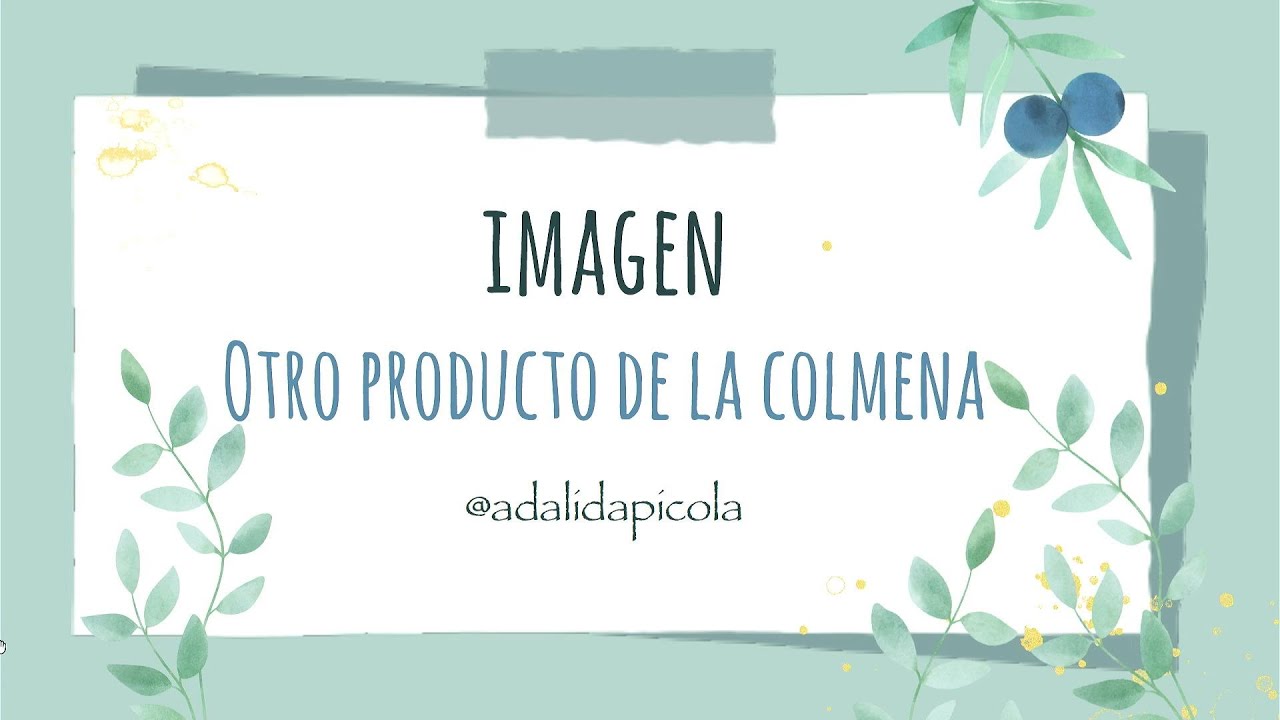 Imagen, un producto más de la colmena