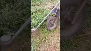 bush cutter