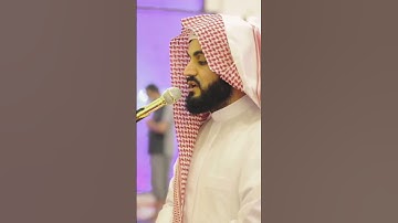 تلاوة هادئة بصوت القارئ رعد الكردي 🤍    #قرآن #رعد_الكردي #quran