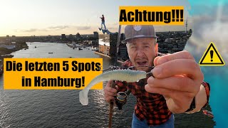 Die letzten 5 Spots in Hamburg - Angeln in der Stadt - Tipps und Tricks