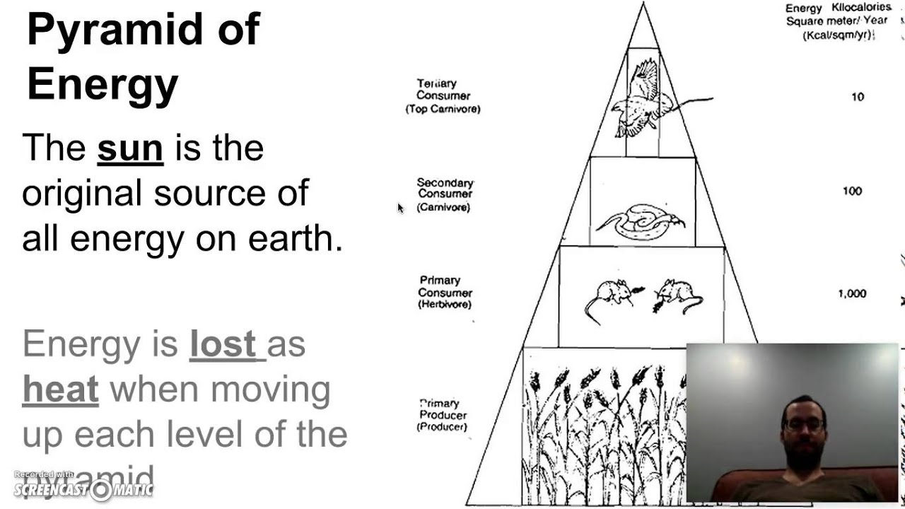 Energy Pyramid Non Example