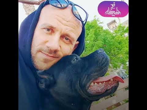 فنانين ملهمش في البوس العوضي ومكي رافعين شعار مرضهاش لأختي وهنيدي بيتكسف