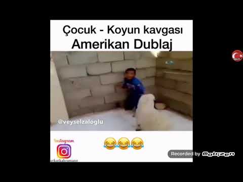 Amerik dublaj - çocuk - koyun kavgasi