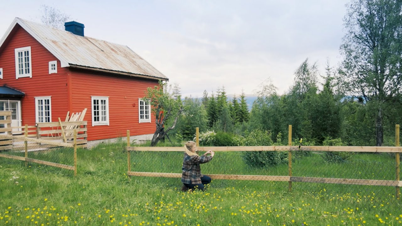 A Summer of Progress & Building our Dream | #03 Farm Diaries