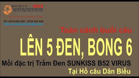 Toàn cảnh ca test mồi câu Trắm Đen Thuốc Bắc SUNKISS B52 VIRUS