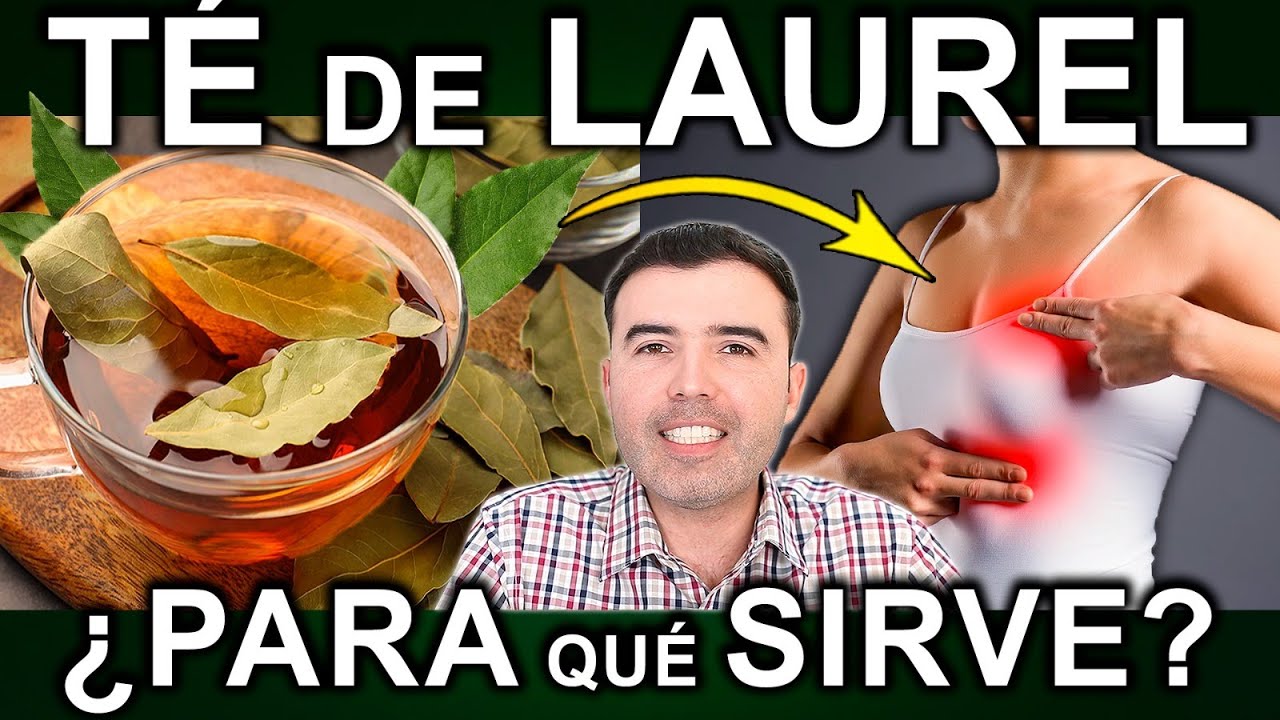 TE DE HOJA DE LAUREL EN AYUNAS - Beneficios, Para Que Sirve Y Contraindicaciones