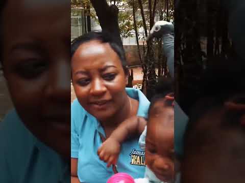 The bird made her SCREAM 😱 😄🤣🤣 #jamaica #jamaicawalkby