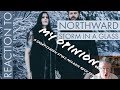 Northward - Storm in a Glass Reaction/Review