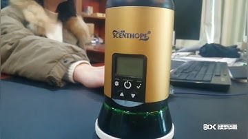 scent air machine, aroma diffuser, scent diffuser machine