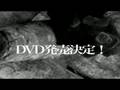THE ケモノ道vol.2 DVD