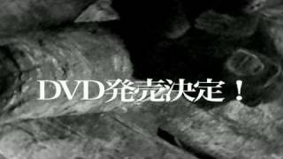 THE ケモノ道vol.2 DVD