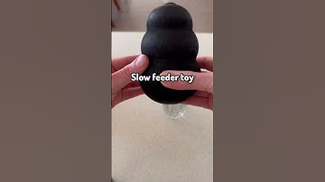 Chilly Canine Treat: DIY Frozen Kong Recipe for Your Furry Friend!