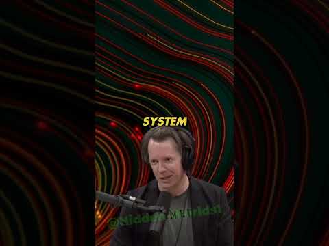 Quantum Entanglement Will