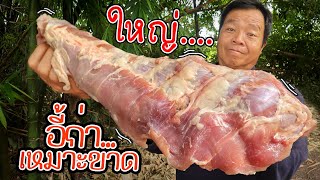 ชิ้นใหญ่ยักษ์!! " หมูผักฮี้ไฮ " เมนูหากินยาก!! พ่อบอกว่าทำกินได้ตอลดปี