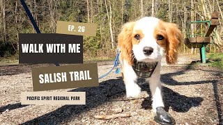 Cavalier King Charles Spaniel Puppy’s First Forest Walk