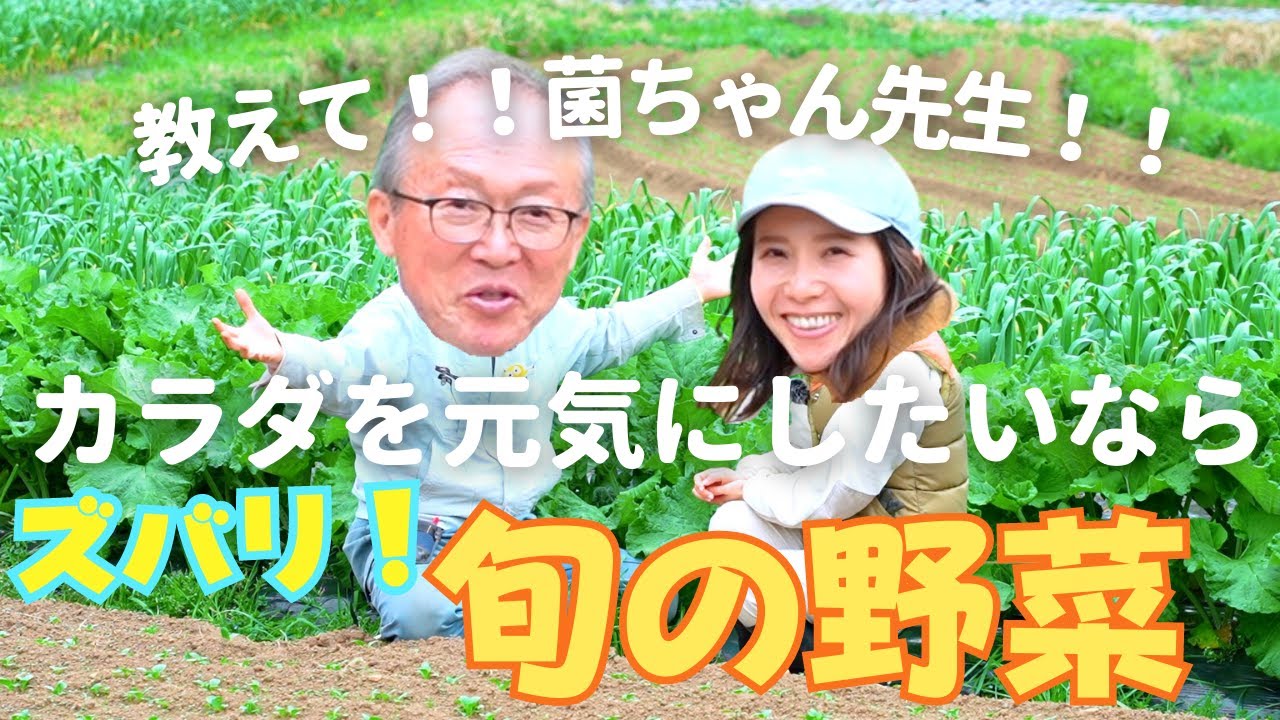 教えて！菌ちゃん先生！『旬の野菜の魅力/虫がこない無農薬野菜/減農薬は危険!?』