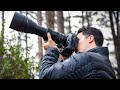 Tamron SP 150-600mm G2 Review: A WILDLIFE PHOTOGRAPHY BEAST