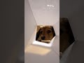 [ VIDEO DANA ] Postoji li što slađe od ovog psića? 🥰 #webcafe