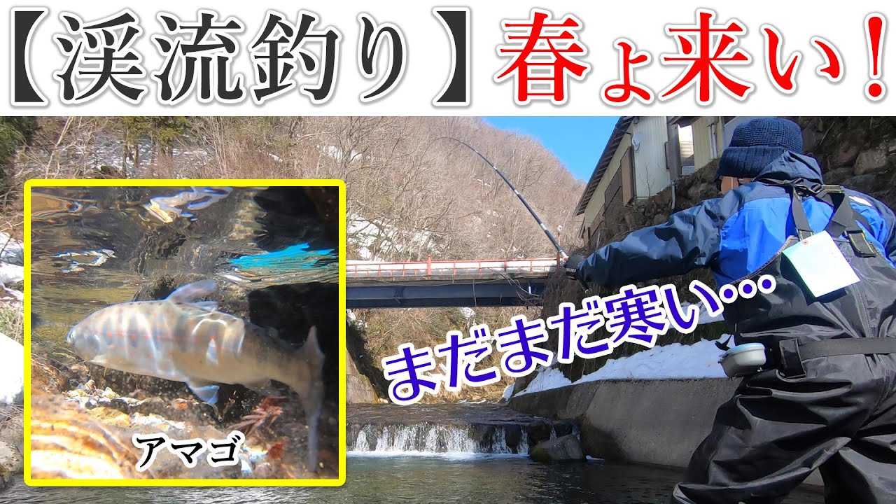 渓流釣り 岐阜県郡上市 3月雪解け間近 まだまだ寒い中での釣りを楽しむ Youtube