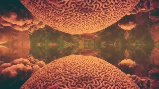 Archer — Bubble Chamber (Official Video)