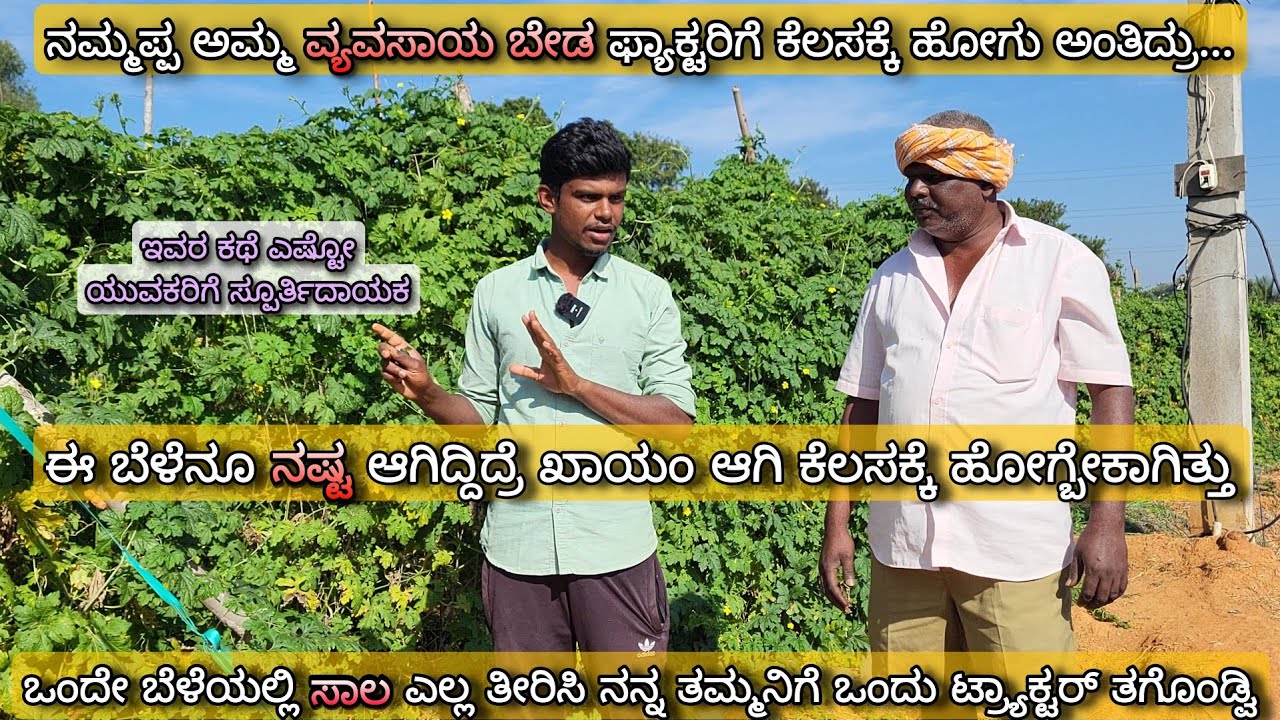 Bitter gourd after successful tomato crop | A crop which changed the fate of the family |