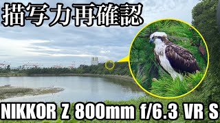 描写検証】863の描写力を改めて認識 - Z 800mm f/6.3 VR S - - YouTube