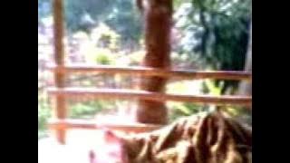 AISYAH DI KELEKETEK. / By Kang Abu /Tegalwaru /Ciampea /Bogor