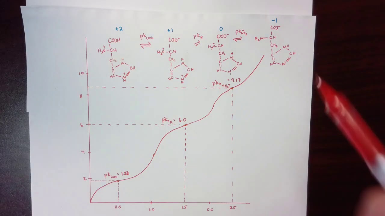 Detailed explanation of titration curve of histidine