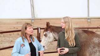 Healing With Horses & Reiki