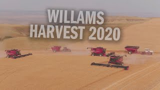 Williams Brothers Wheat Harvest 2020 - Aerial Reel