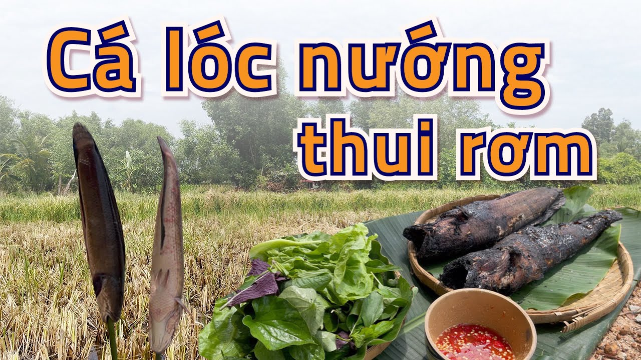 Cá Lóc Nướng Thui Rơm Ven Sông Tại Bình Dương – Thơm Ngon Chuẩn Vị Đồng ...