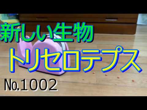 新しい生物 1002 トリセロテプス ピタゴラスイッチ Youtube