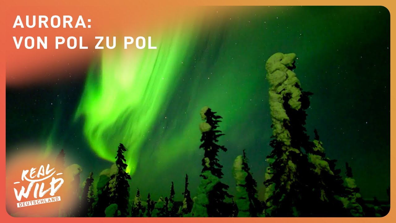  Foto zu 100 Minuten Faszination der Polarlichter 