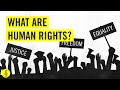 What are human rights