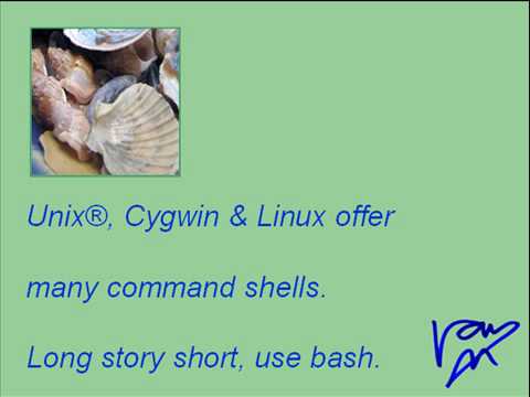 Lesson 1 - The bash Shell