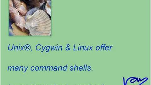 Lesson 1 - The bash Shell