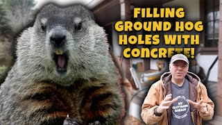 A Groundhog War! MCG Video #181 by My Cluttered Garage - Outdoors and DIY 1,744 views 4 months ago 15 minutes