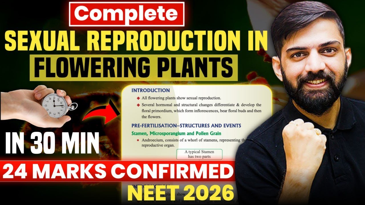 Sexual Reproduction in Flowering Plants in 30 Minutes 🔥| NEET 2026 ...