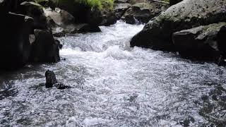 30 Detik Relaksasi Suara Alam Indah Banget Suara Gemericik Air Untuk Relaksasi Dan Ketenangan