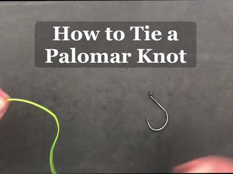 How to Tie a Fishing Hook On—5 Best Knots