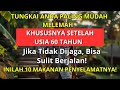 Tungkai Anda Paling Rentan! Konsumsi 10 Makanan Ini untuk Menjaganya Tetap Kuat