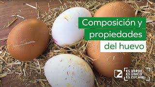 🥚 Composición y propiedades del huevo. 🥚 El huevo un gran diseño de la naturaleza.