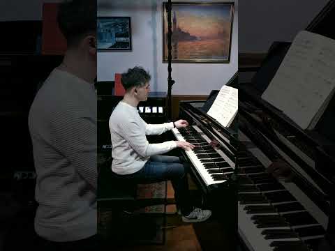Chopin's Nocturne No.5, Op. 15, No. 2 (extended single camera edit)