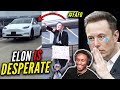 Tesla in Crisis: Elon Musk Begs Trump for Support as Teslas Get Destroyed